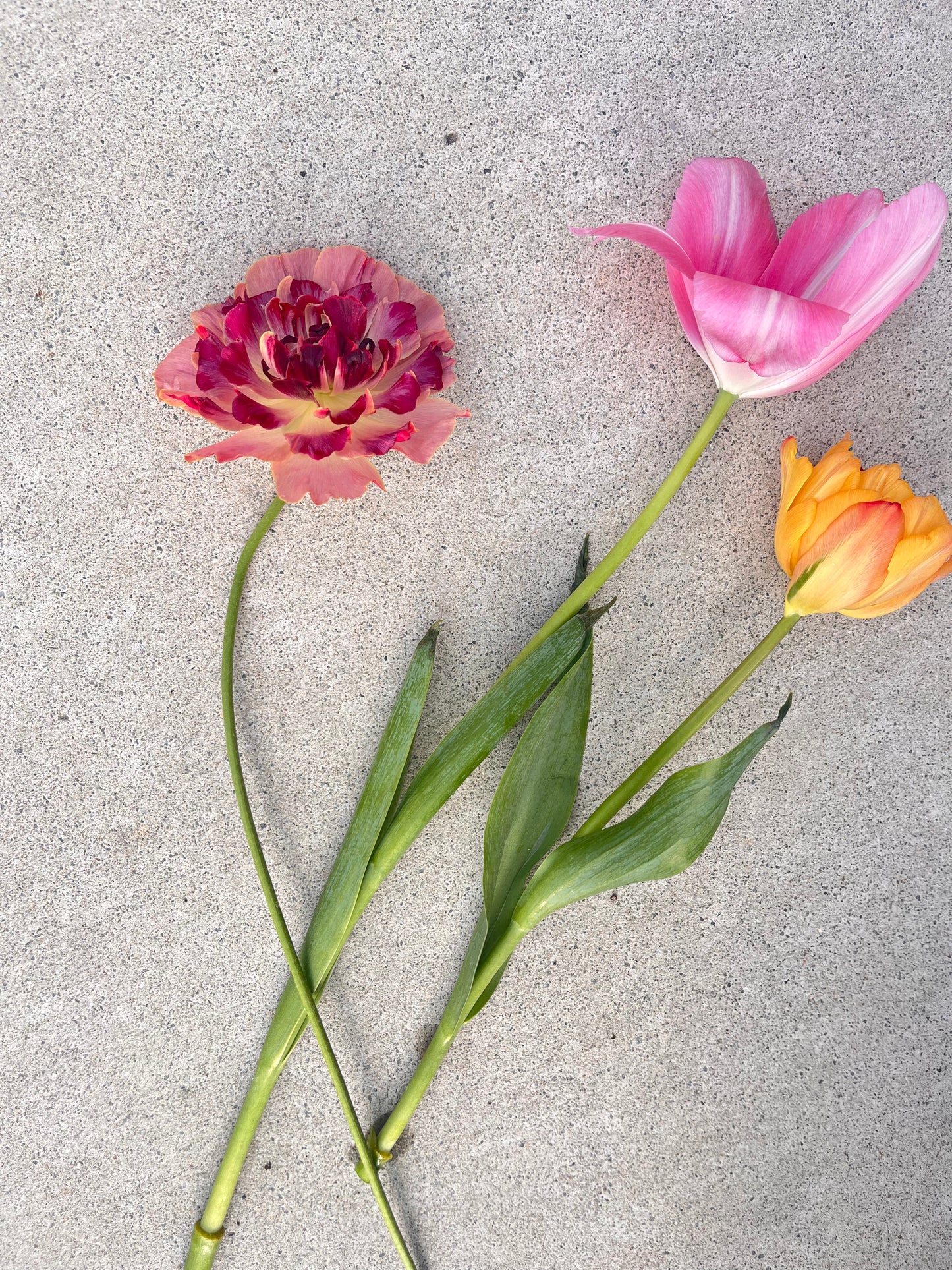 3本のお花でおはかまいりセット