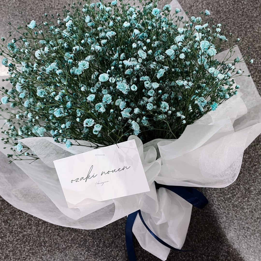 Baby's Breath （かすみ草）Gift B