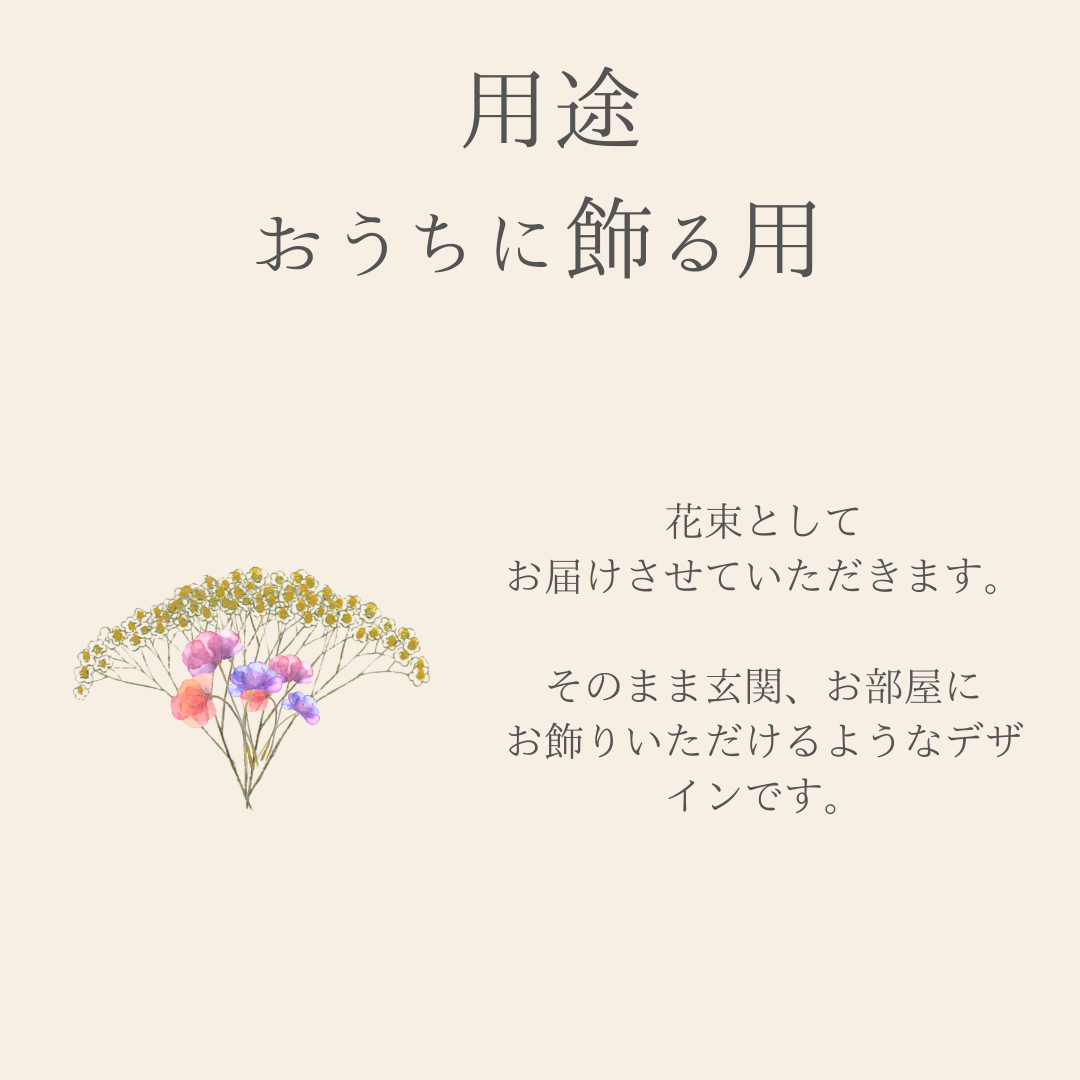 Baby's Breath （かすみ草）Gift B